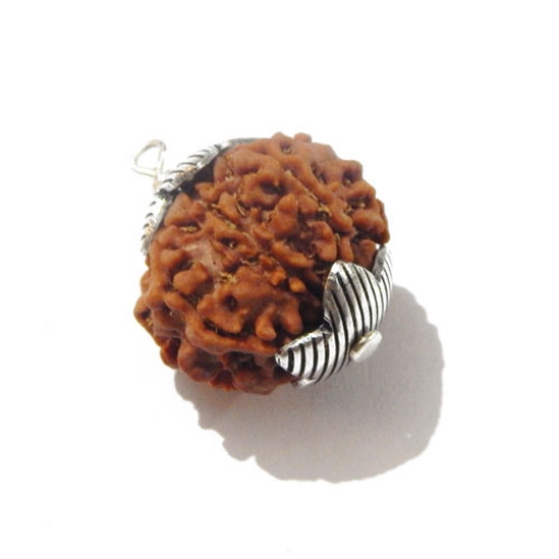 7 face rudraksha 