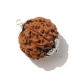 6 Face Nepali Rudraksha  Six Face Rudraksha Pendant