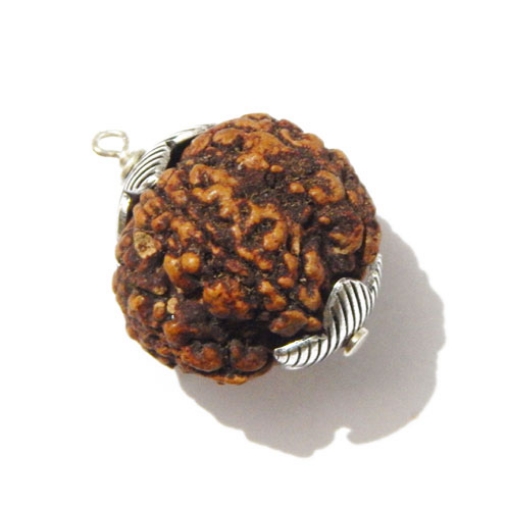 Six Face Rudraksha Pendant