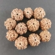 Show details for Perles Rudraksha népalaises en vrac Picture of Perles Rudraksha népalaises en vrac