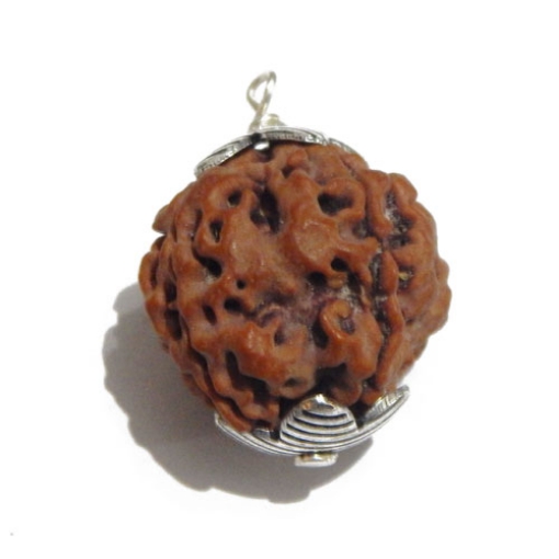 Four Face (Mukhi) Nepali Rudraksha Pendant