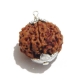6 Face Nepali Rudraksha Pendant Six Face Rudraksha Pendant