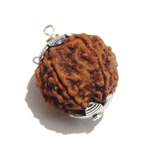 Six Face Rudraksha Pendant